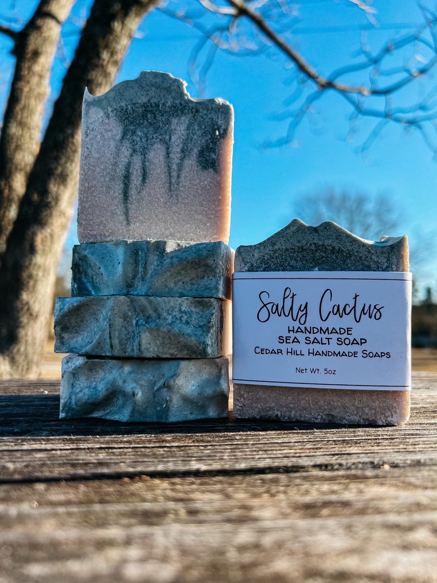 Salty Cactus Handmade Soap with Sea Salt 5oz